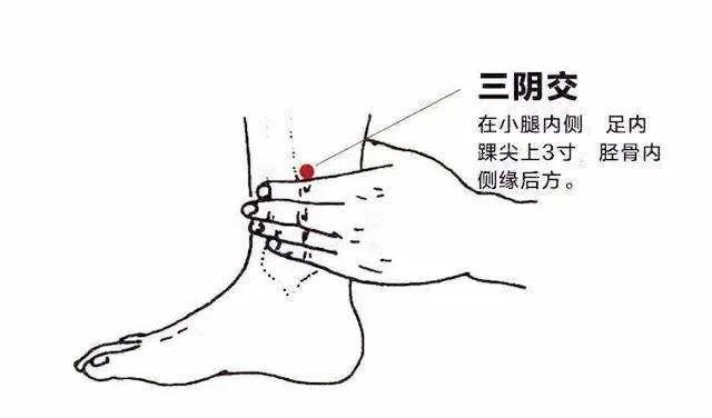 大暑 | 濕氣嚴(yán)重，你還在補(bǔ)陽(yáng)氣？轉(zhuǎn)用3種滋陰法，全年少生病