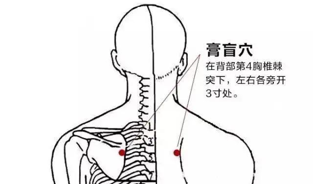大暑 | 濕氣嚴(yán)重，你還在補(bǔ)陽(yáng)氣？轉(zhuǎn)用3種滋陰法，全年少生病